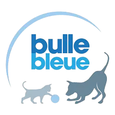 Bulle Bleue logo